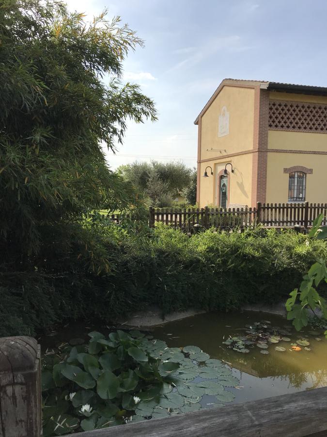 Agriturismo Corte Salandini Hotel Понти Сул Минчо Екстериор снимка
