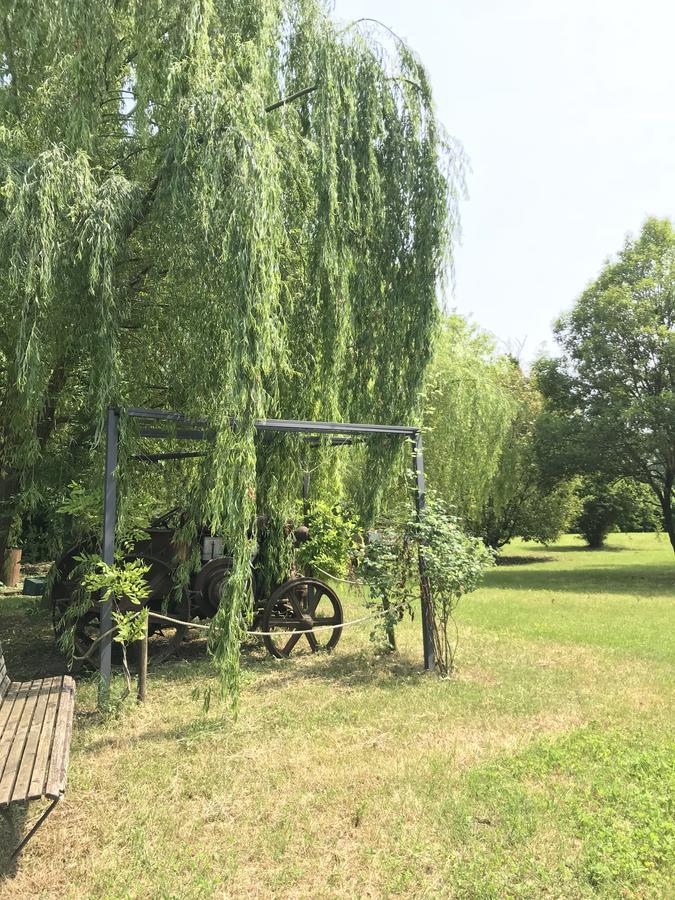 Agriturismo Corte Salandini Hotel Понти Сул Минчо Екстериор снимка
